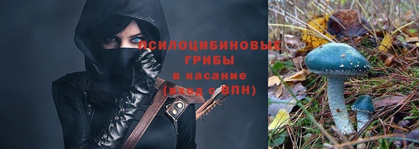 спайс Алексеевка