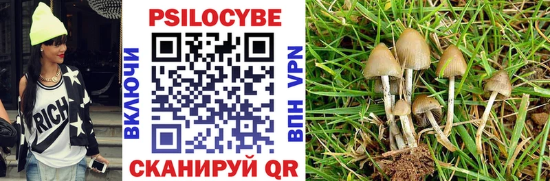 купить   Алзамай  Псилоцибиновые грибы мухоморы 